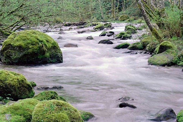 Zigzag River