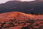 Coral Pink Sand Dunes