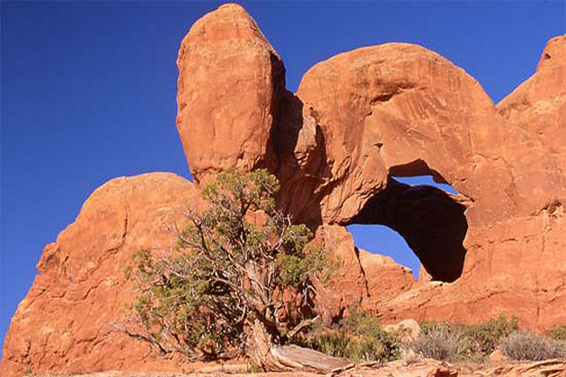 Double Arch