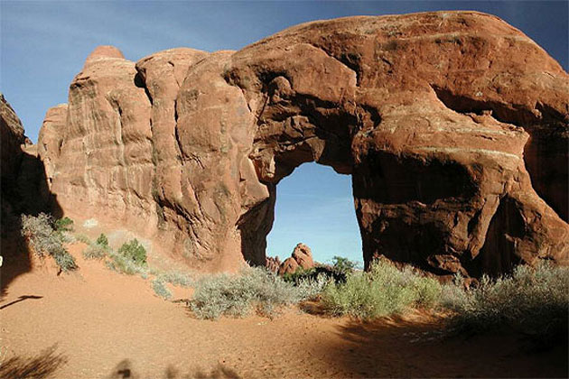 Pine Tree Arch