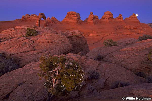 Delicate Arch Viewpoint