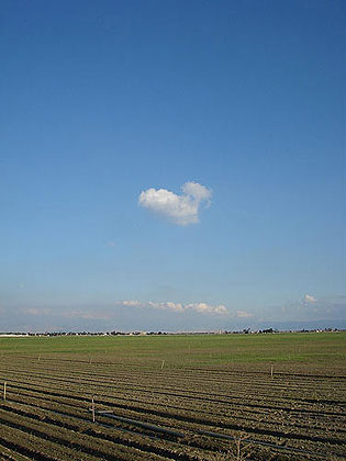 Farmers' Fields