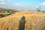 Field Shadow