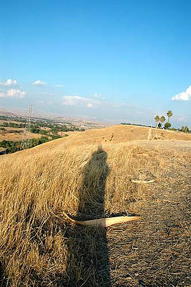 Field Shadow