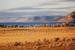 Bear Lake Farmland