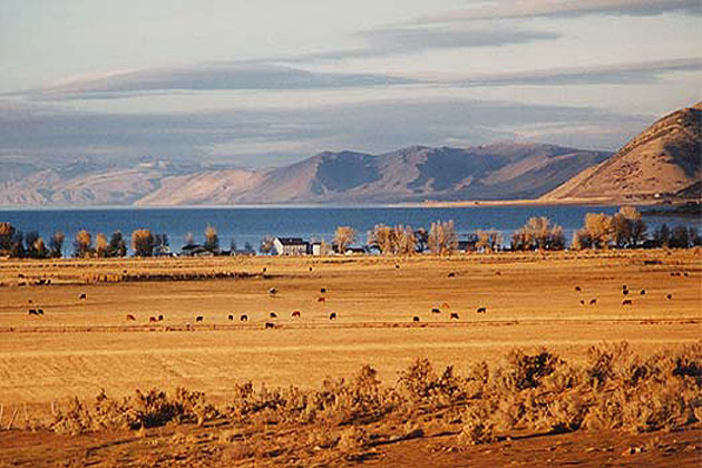 Bear Lake Farmland