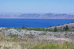 Bear Lake Overhead