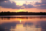 Bald Knob Lake