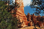 Hoodoos in Bryce Canyon