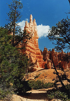 Hoodoos in Bryce Canyon