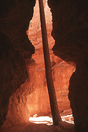 Bryce Canyon