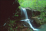Dug Hollow on the Buffalo National River