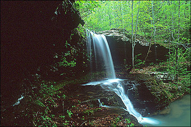 Dug Hollow on the Buffalo National River