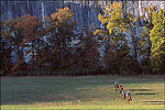 Buffalo National River