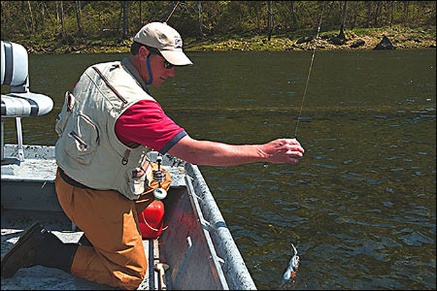 Trout fishing on the White River