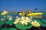 Kayaking at Cane Creek State Park