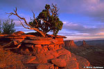 Islands in the Sky Overlook