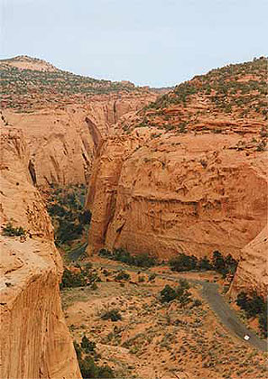 The Burr Trail