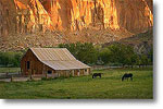 Capitol Reef Farmhouse