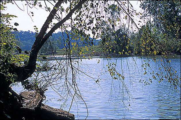 Cadron Creek