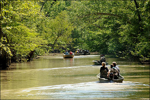 Cache River National Wildlife Refuge