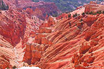 Cedar Breaks Amphitheater