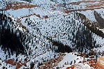 Cedar Breaks Winter