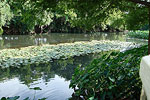 Comal River
