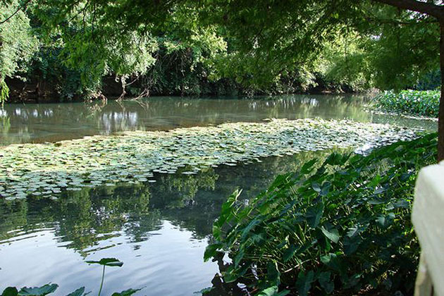 Comal River