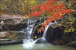 Cossatot River State Park & Natural Area
