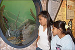 Cossatot River State Par-Natural Area Visitor Center