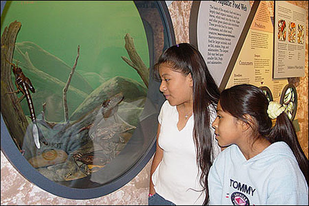 Cossatot River State Par-Natural Area Visitor Center