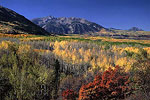 Elk Mountains