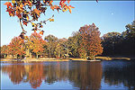 Crowley's Ridge State Park
