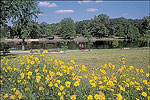 Crowley's Ridge State Park