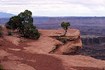 Dead Horse Point