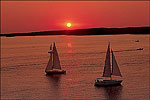 Sailboats on DeGray Lake 