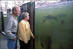Delta Rivers Nature Center, Pine Bluff