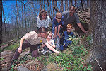 Devil's Den State Park