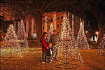 Holiday Lights, DeWitt