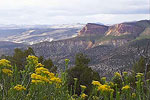 Harpers Corner Scenic Drive