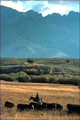 Ruby Mountains