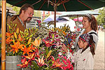 Farmers Market, historic downtown square, Fayetteville