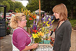 Farmer's Market, historic downtown square, Fayetteville