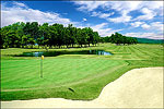 Meadows Golf Club