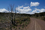 A road near Mytoge Mtn.