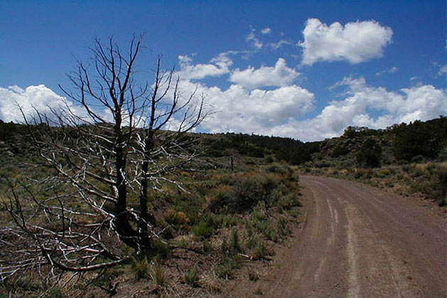 A road near Mytoge Mtn.