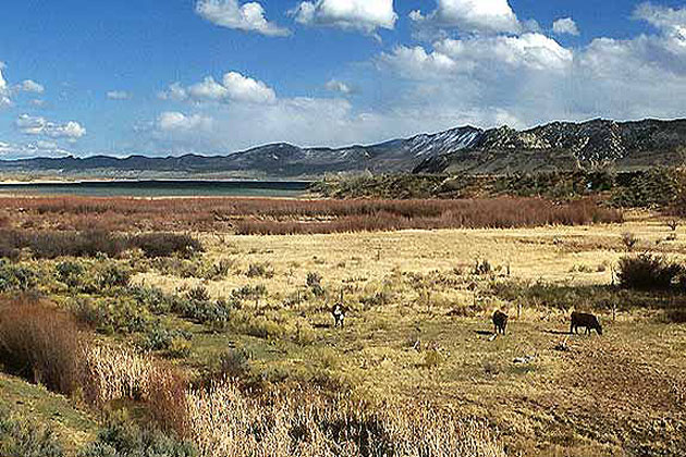 Flaming Gorge