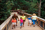 Crowley's Ridge Nature Center, Jonesboro