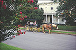 Belle Grove Historic District in downtown Fort Smith